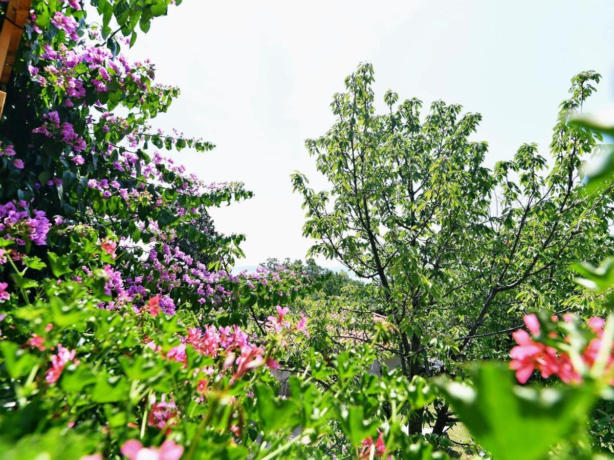 Bed And Breakfast Rooms Valentin Mošćenička Draga Esterno foto